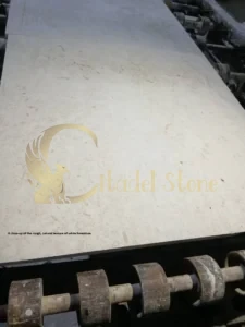 This image highlights the tactile and visual qualities that connect a space to nature.