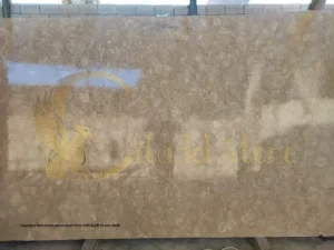 This image visually represents the core design concept of a high-end backyard resort.