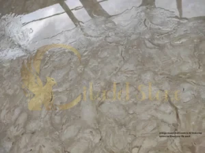 This image showcases a high-end application relevant to the region.