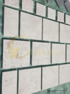 This image serves as a visual contrast demonstrating the effectiveness of proper cleaning.