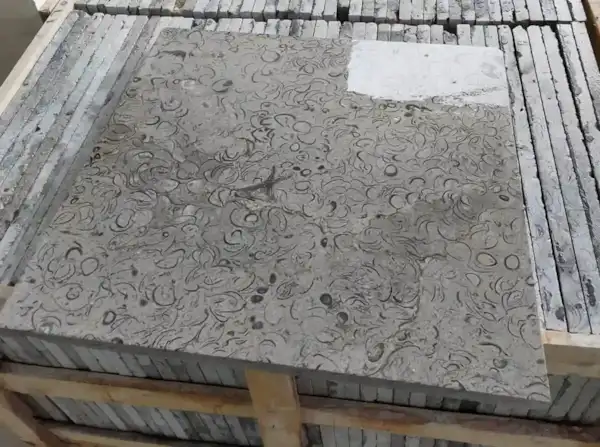 Fossil limestone pavers by Citadel Stone.