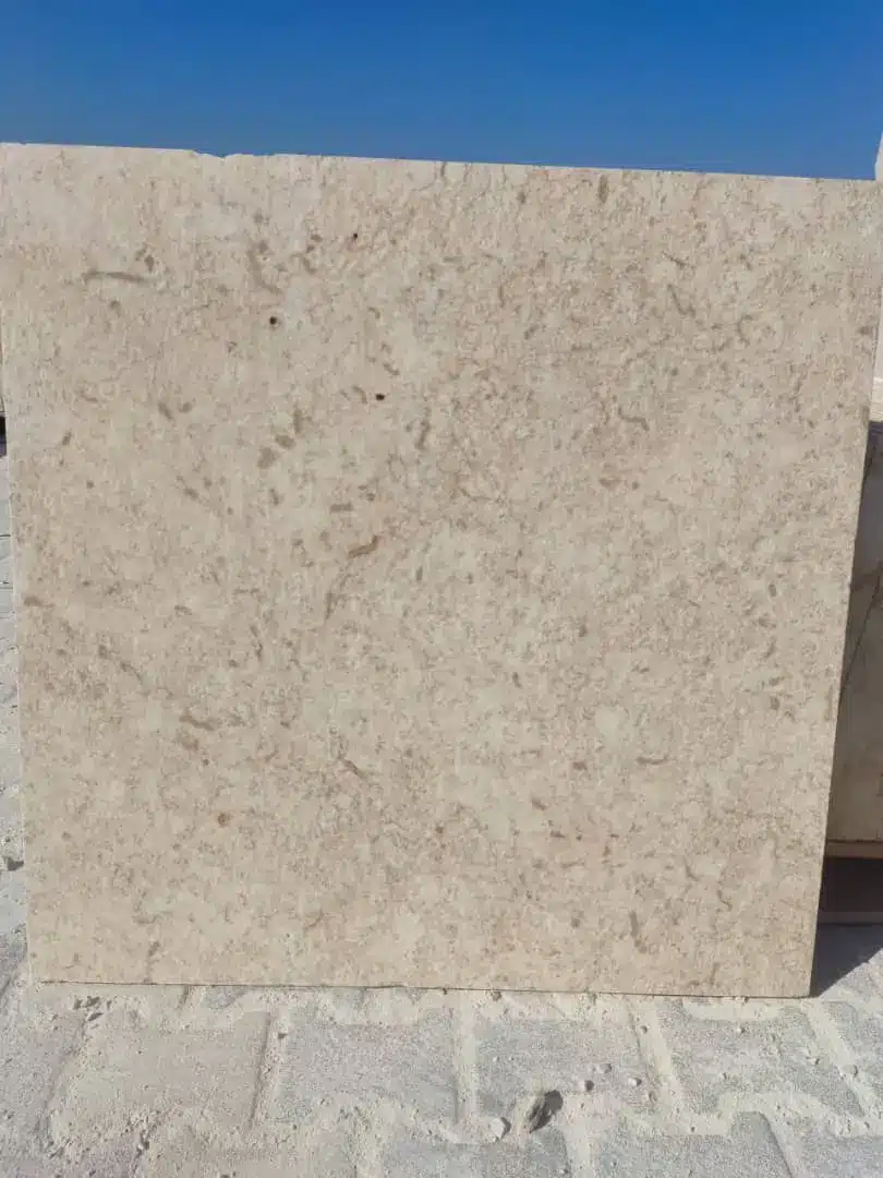 A close view of stone tile color variation Laveen with subtle texture differences.