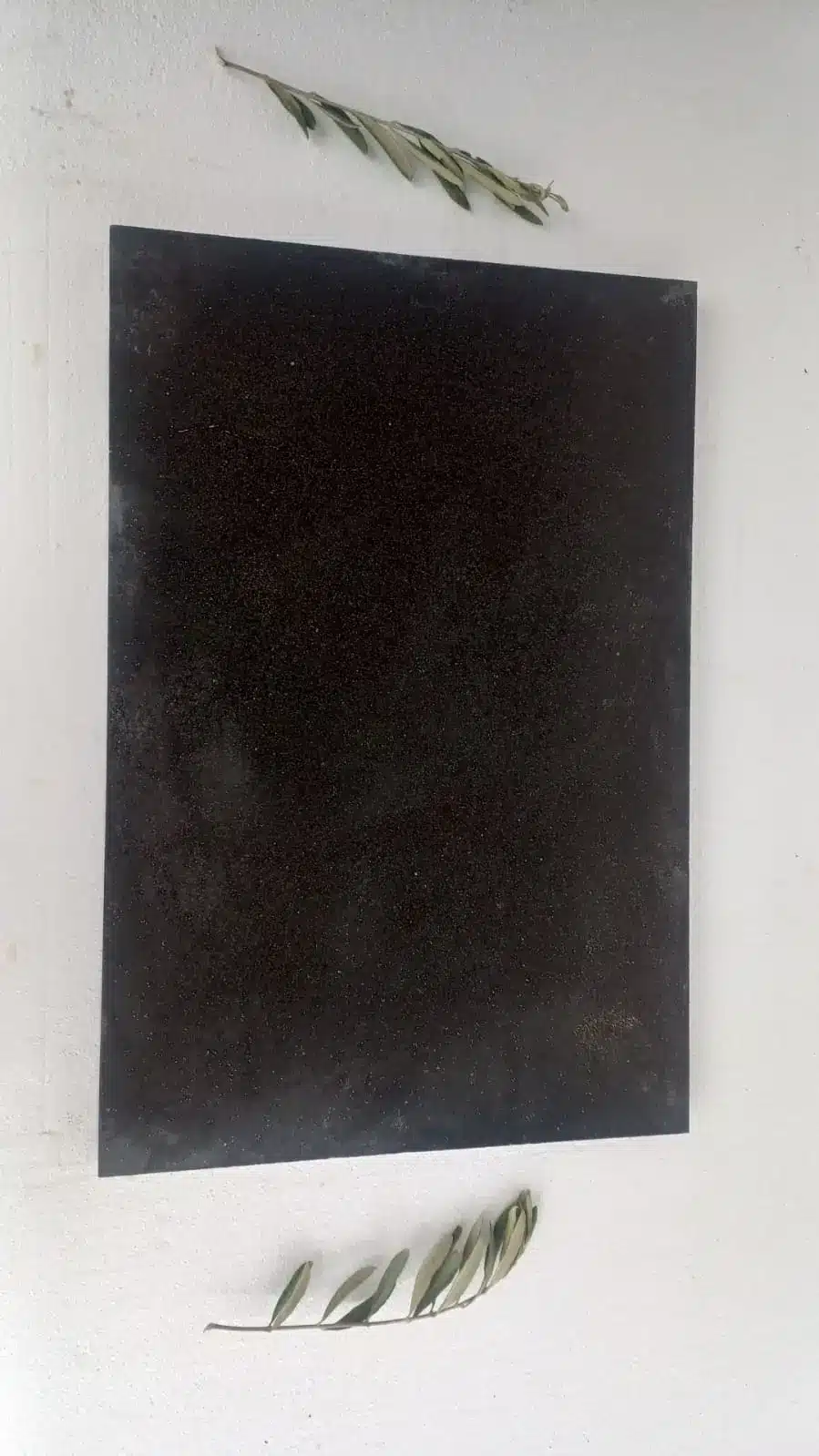 Unique fossil stone tile for Queen Creek spaces Fossil stone tile Queen Creek displayed with natural elements.