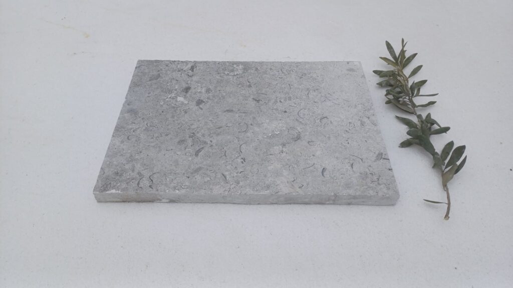 Close-up fossil imprints grey limestone natural finish surface