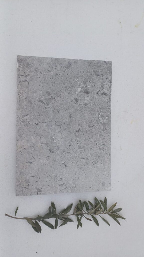 Fossil limestone pavers outdoor patio blue grey