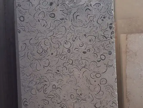 Close-up view of a light gray stone slab with dark fossilized shell patterns.