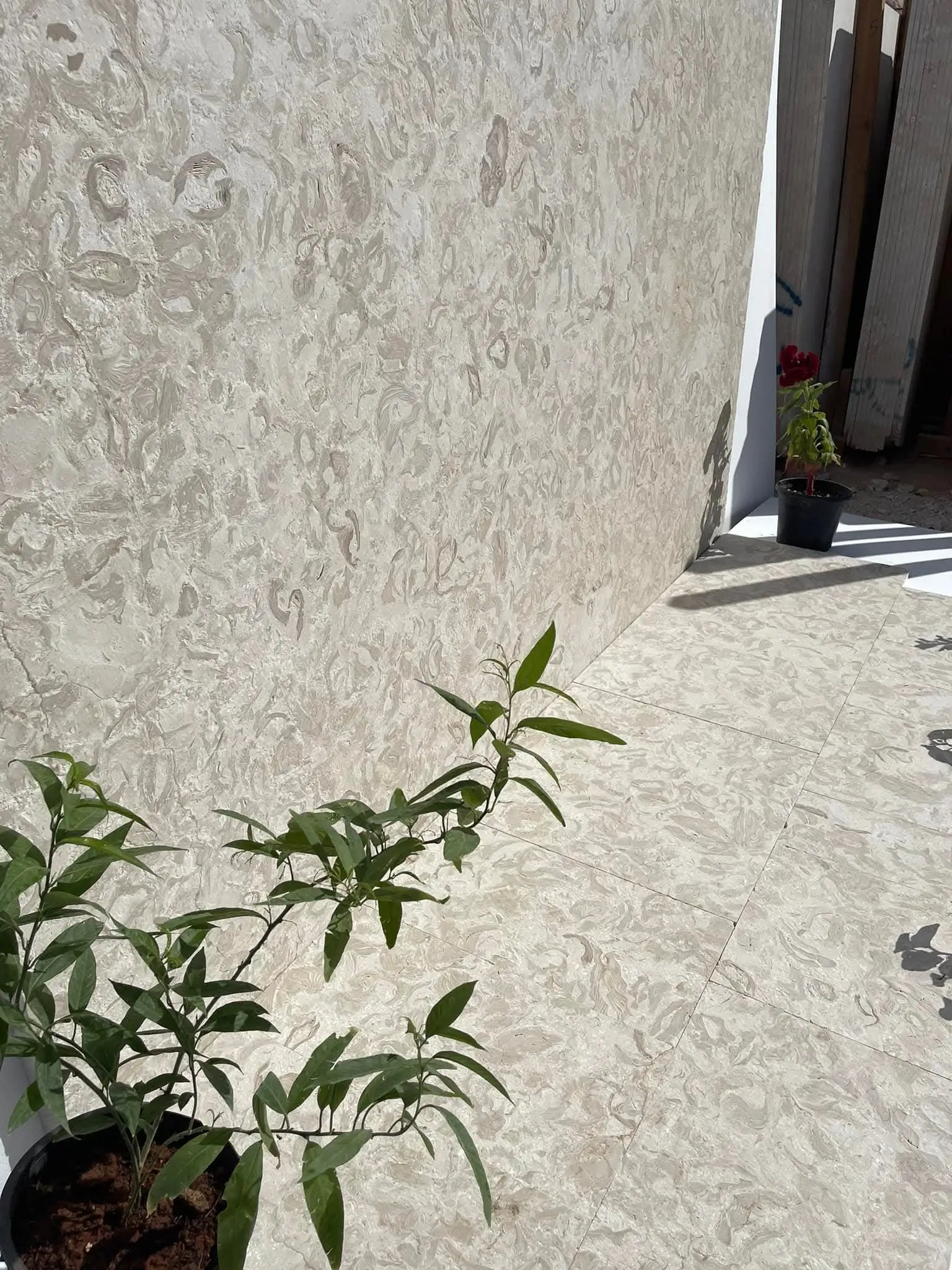 Light beige stone with swirling patterns on a wall and floor.