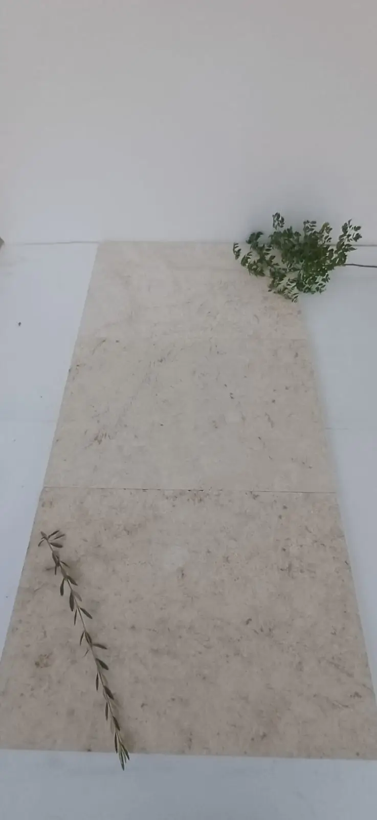 Pale natural stone tiles arranged together with green branches on top.