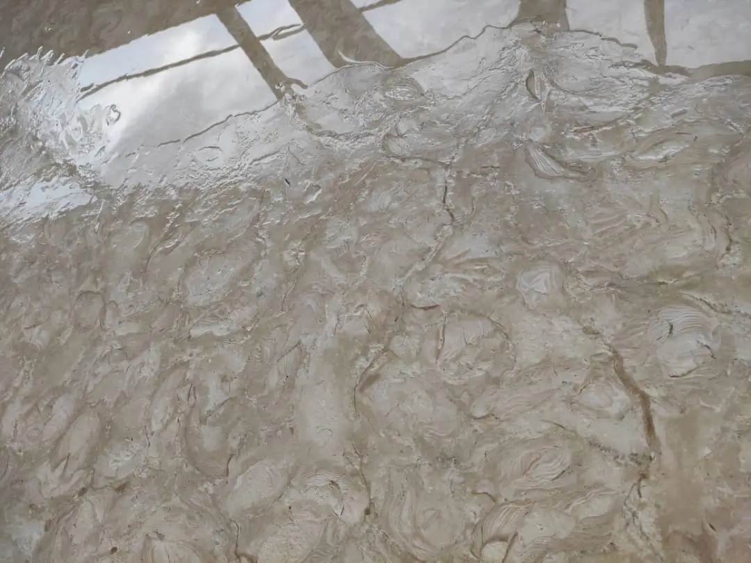 Close-up of a polished beige stone surface with visible natural patterns and texture.