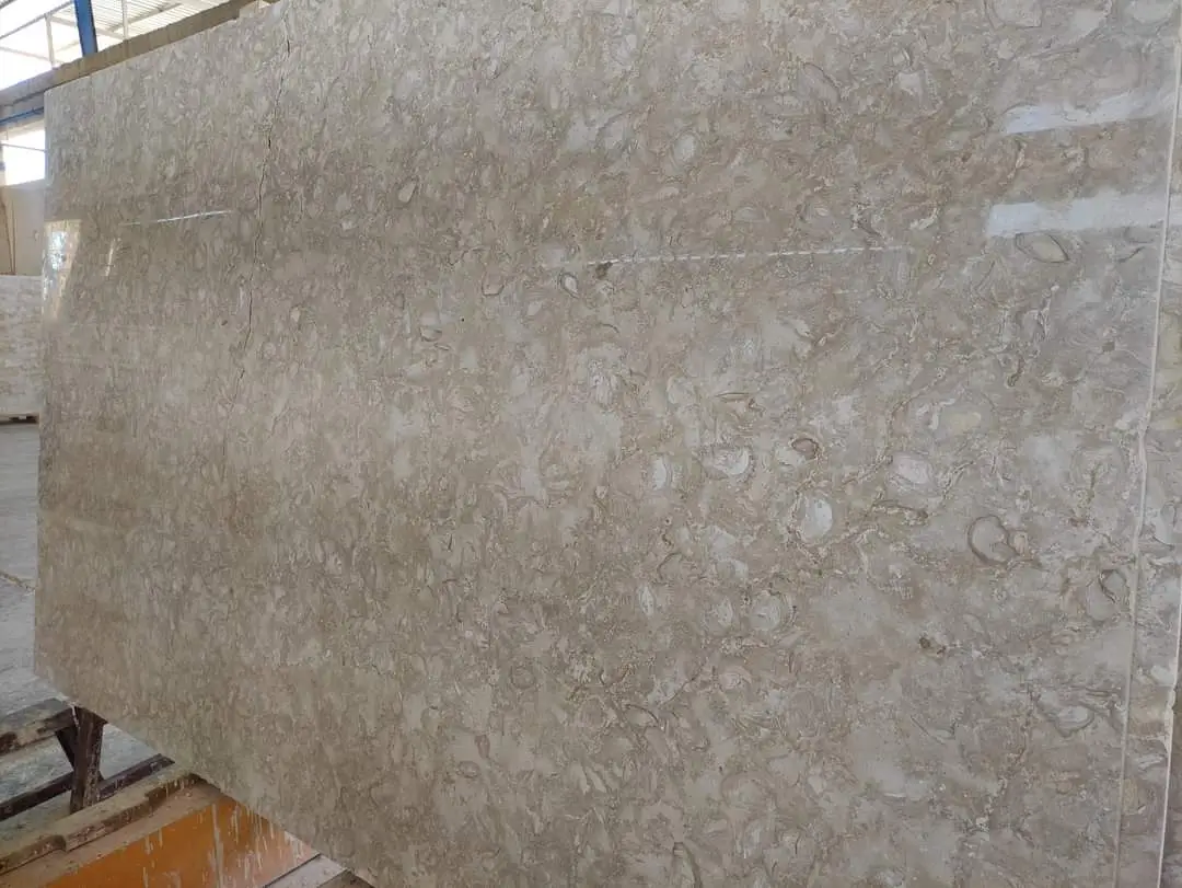 Polished limestone slab with beige tones and unique natural patterns for interior design, shown for scabos travertine pool coping.