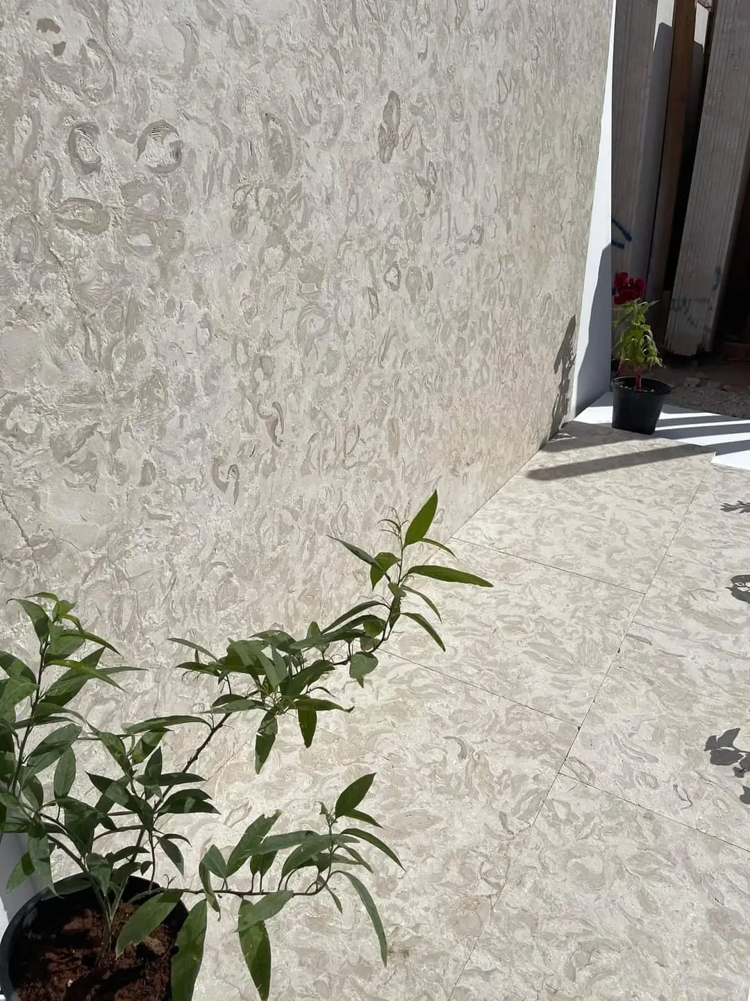 Close-up texture of light limestone pavers showing natural fossil patterns, shown for paver patio base preparation.