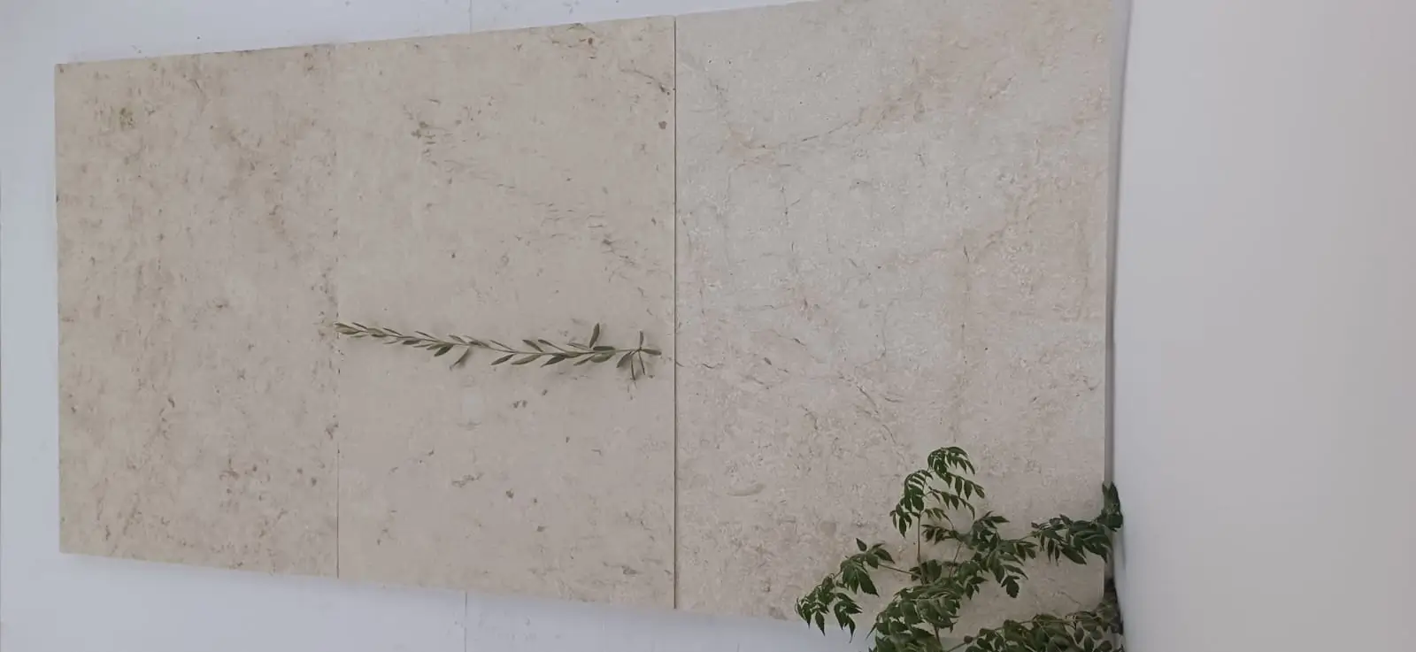 Textured beige limestone wall panels with a delicate sprig of greenery, pictured for granite density explained.