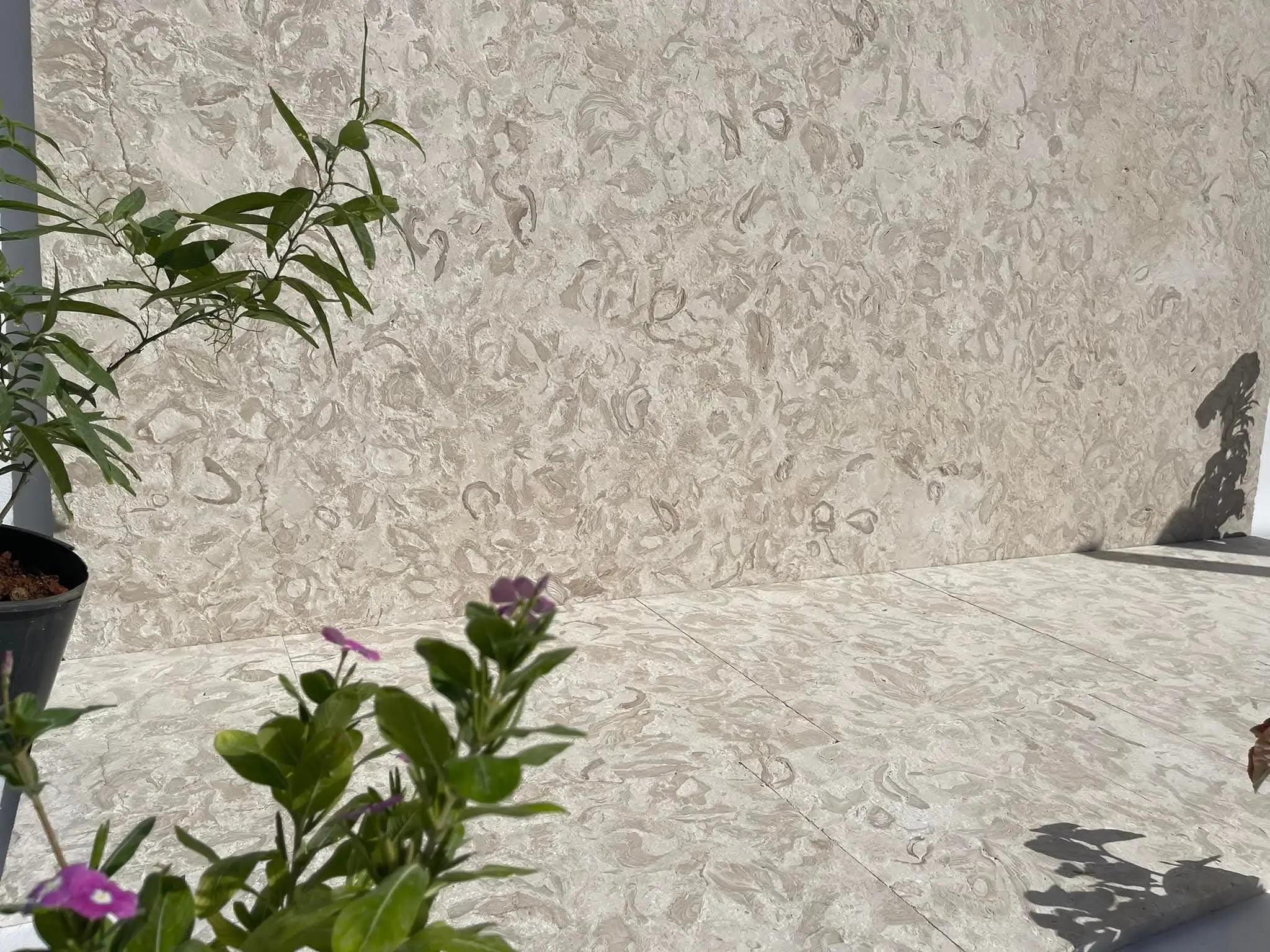 Close-up texture of pale shellstone pavers showing fossilized inclusions, pictured for how to seal a limestone patio.