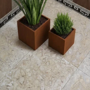 Fossil Beige limestone pavers with real shell fossils in a coarse 24 grit brushed grade