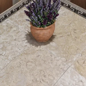 Fossil Beige limestone tiles in the soft 60 grit brushed grade, beige field with seabed fossils