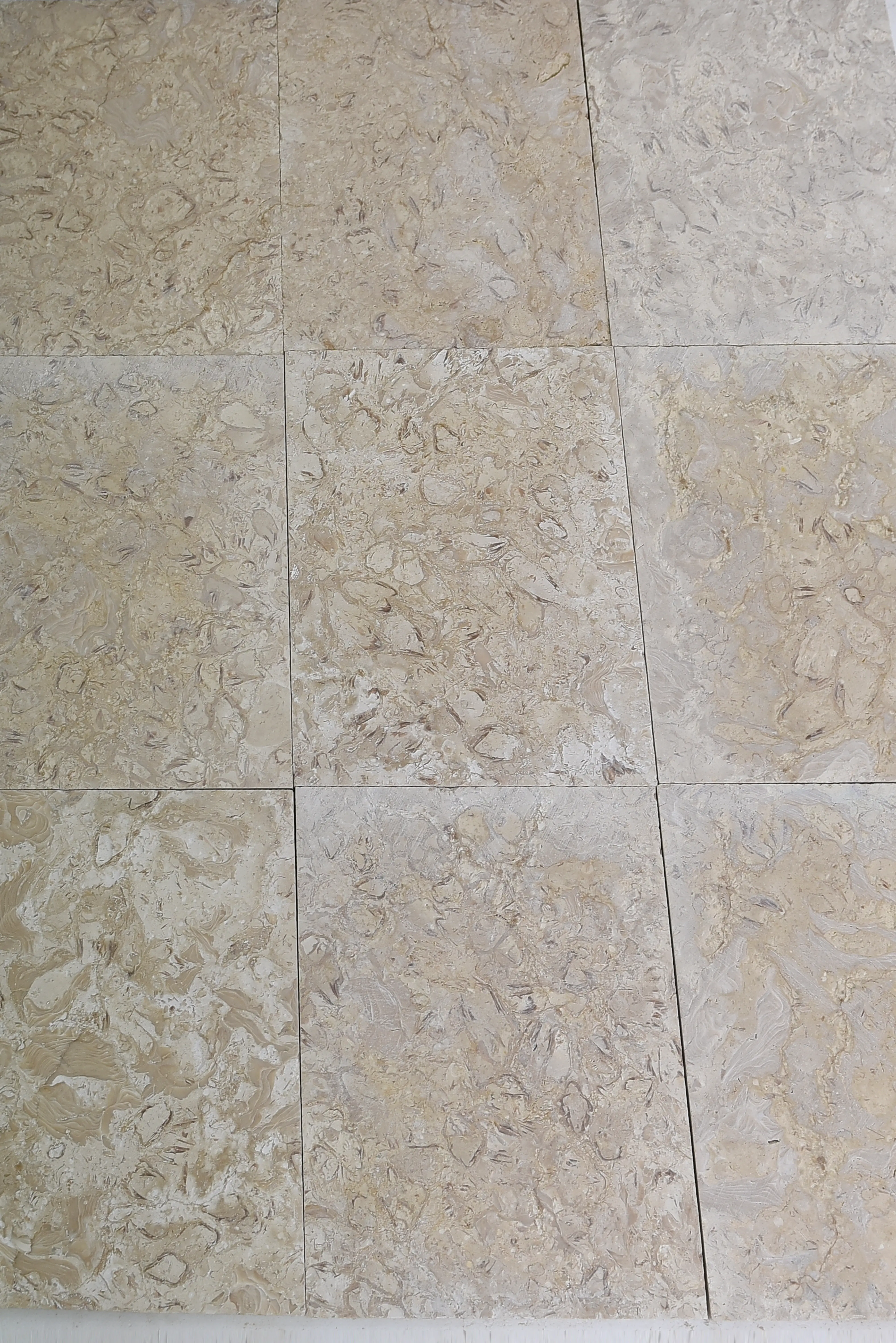 Close-up texture of beige limestone tiles with fossilized shell inclusions, a reference for marble edging care.