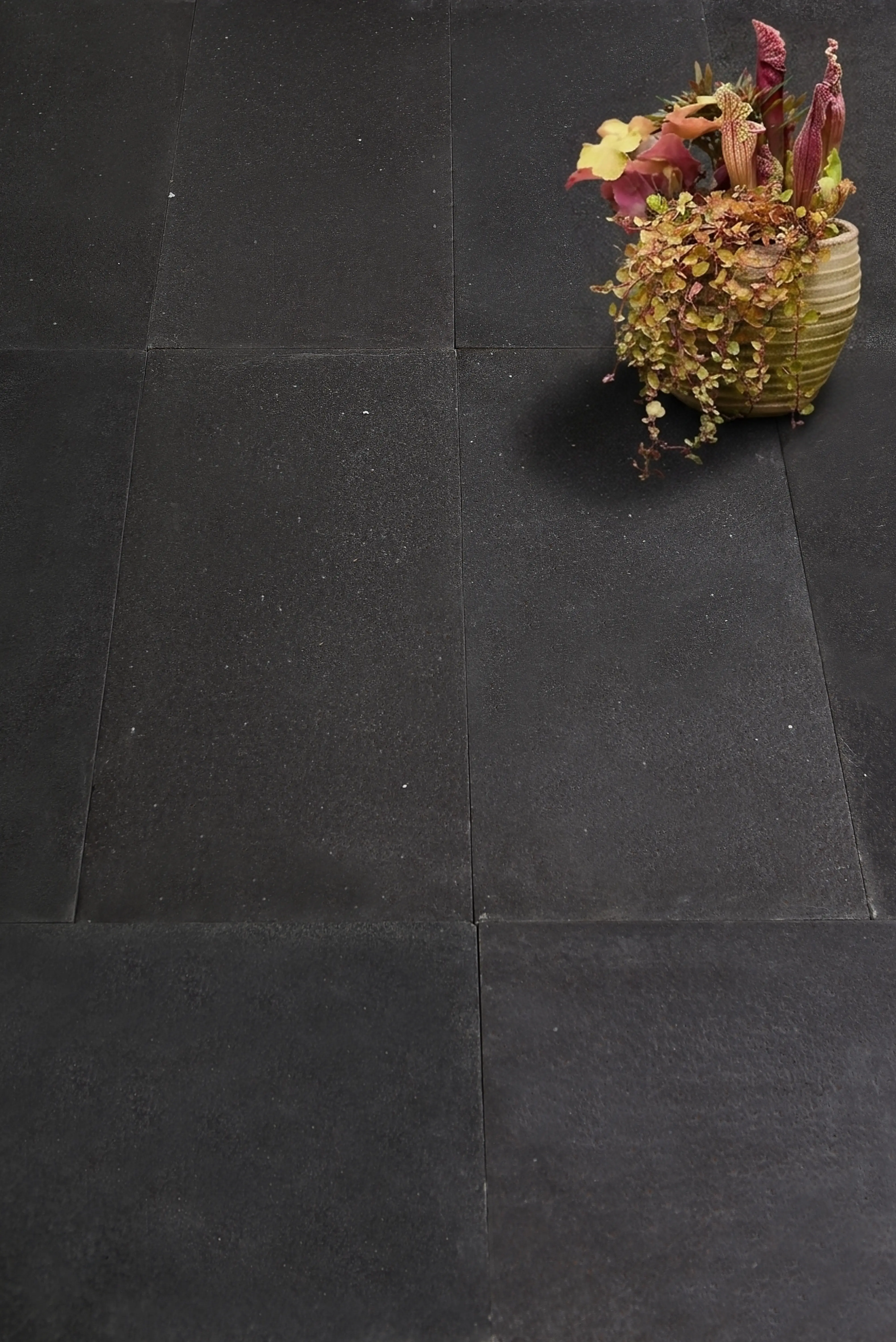Dark, textured slate pavers displayed with a decorative potted plant, shown for slate outdoor tile guide.