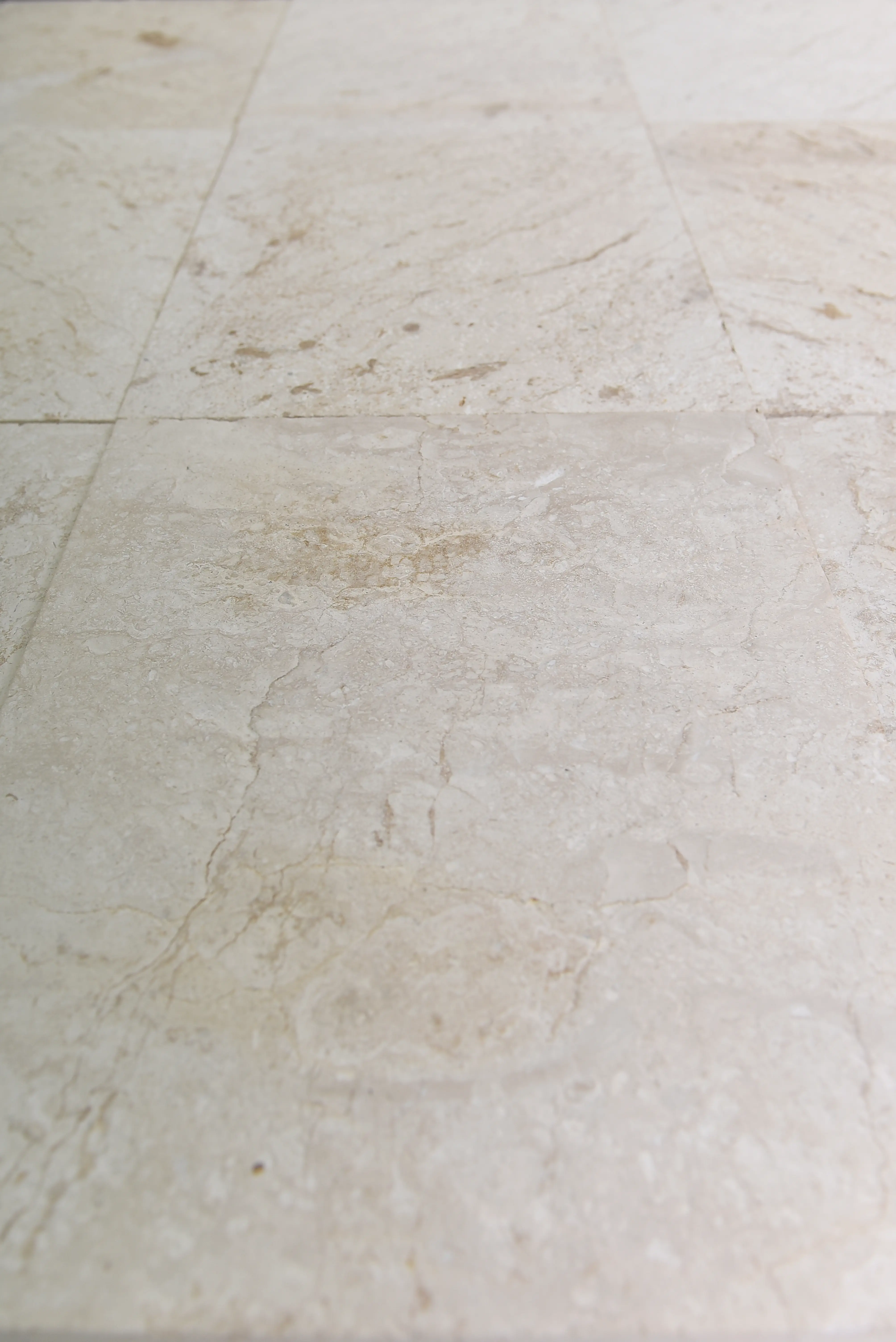 Close-up of beige limestone floor tiles showing subtle veining and texture, pictured for choosing stone for garden borders.