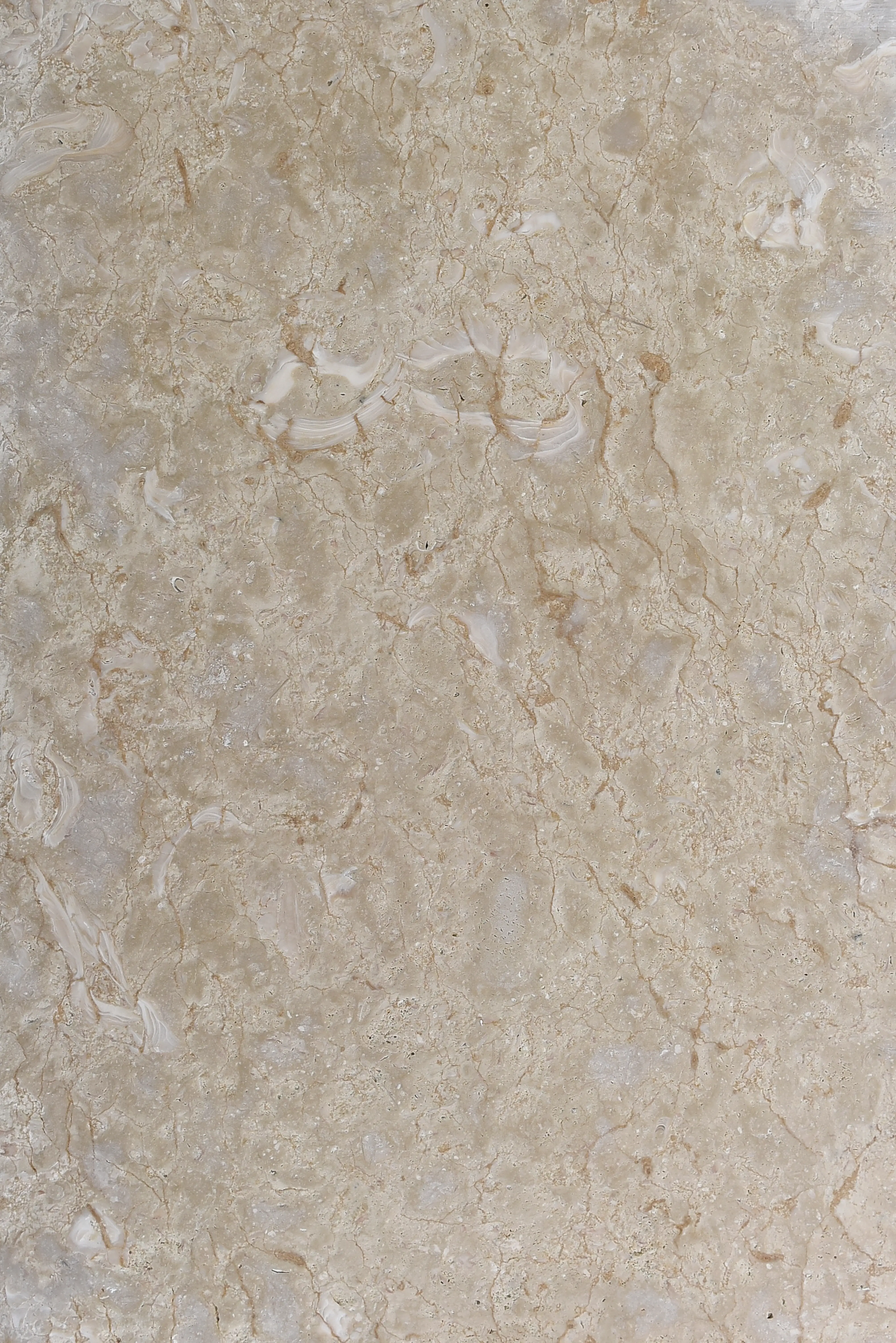 Close-up of beige soapstone stone with subtle veining and fossil inclusions, pictured for how to choose a soapstone slab.