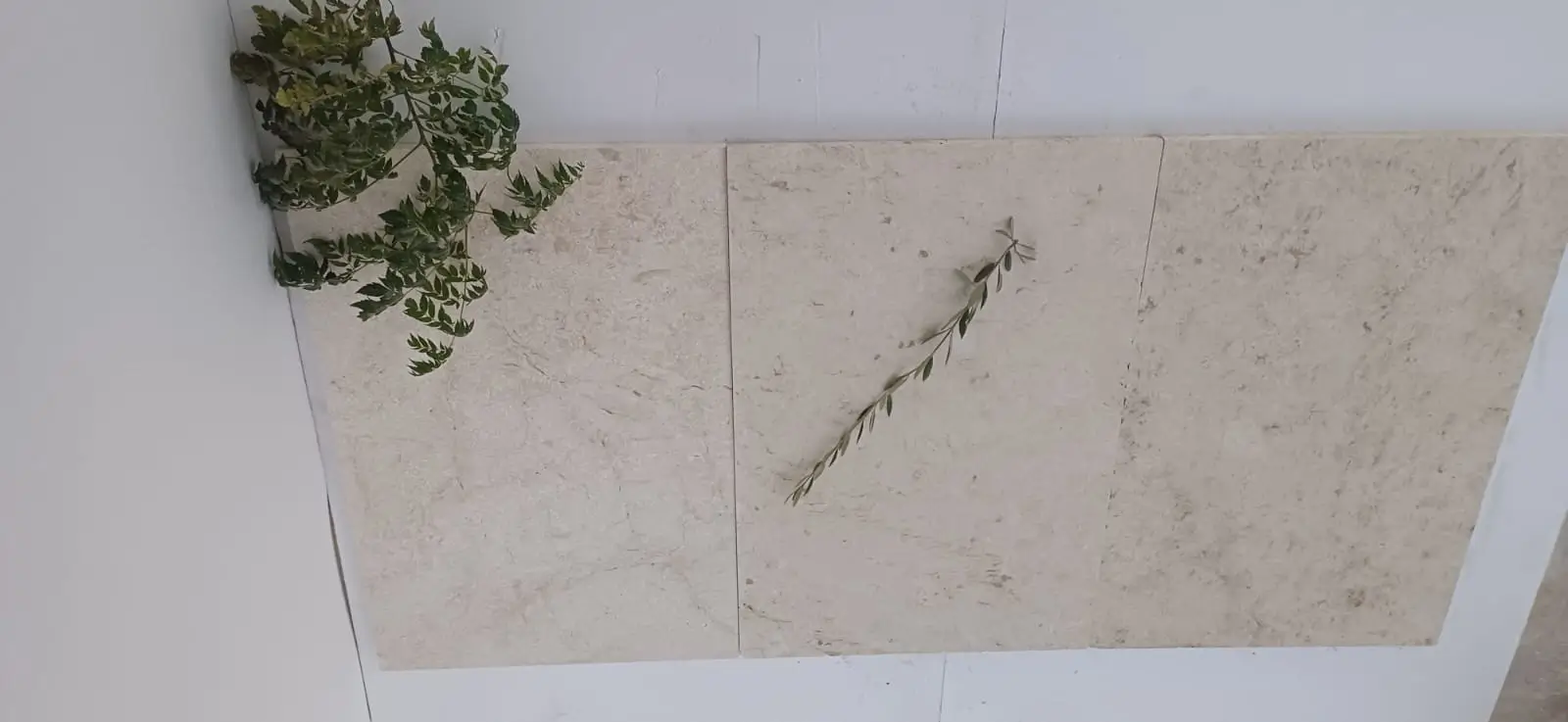 Close-up texture of light beige limestone tiles with delicate green sprigs scattered across them, pictured for white granite color guide.