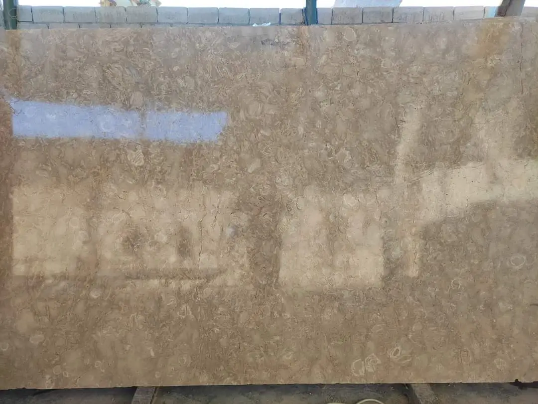 Close-up of polished beige limestone slab with natural fossilized patterns, shown for calacatta marble selection.