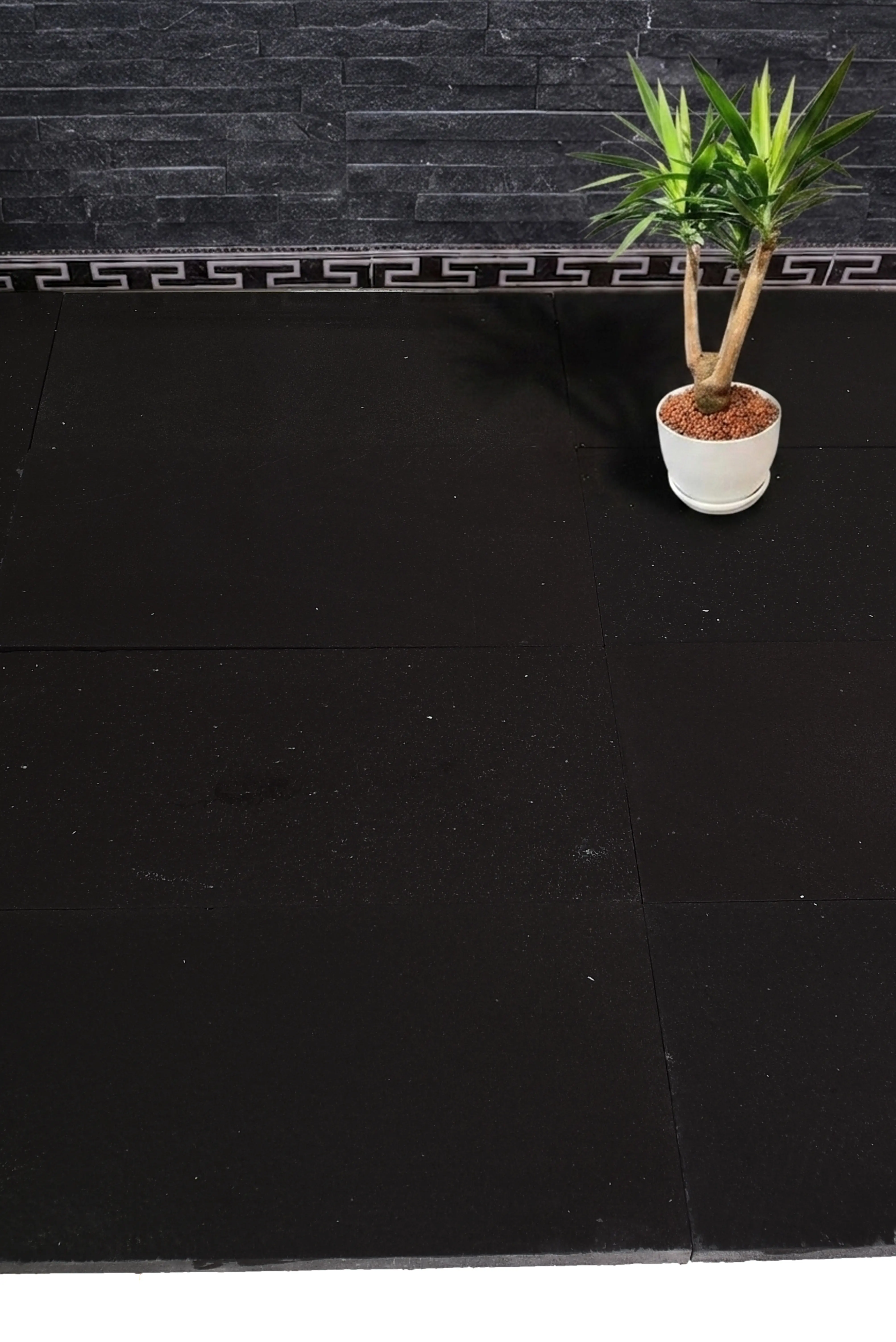 A potted Yucca plant sits on a black textured floor in front of a stone wall, shown for how permeable pavers work.