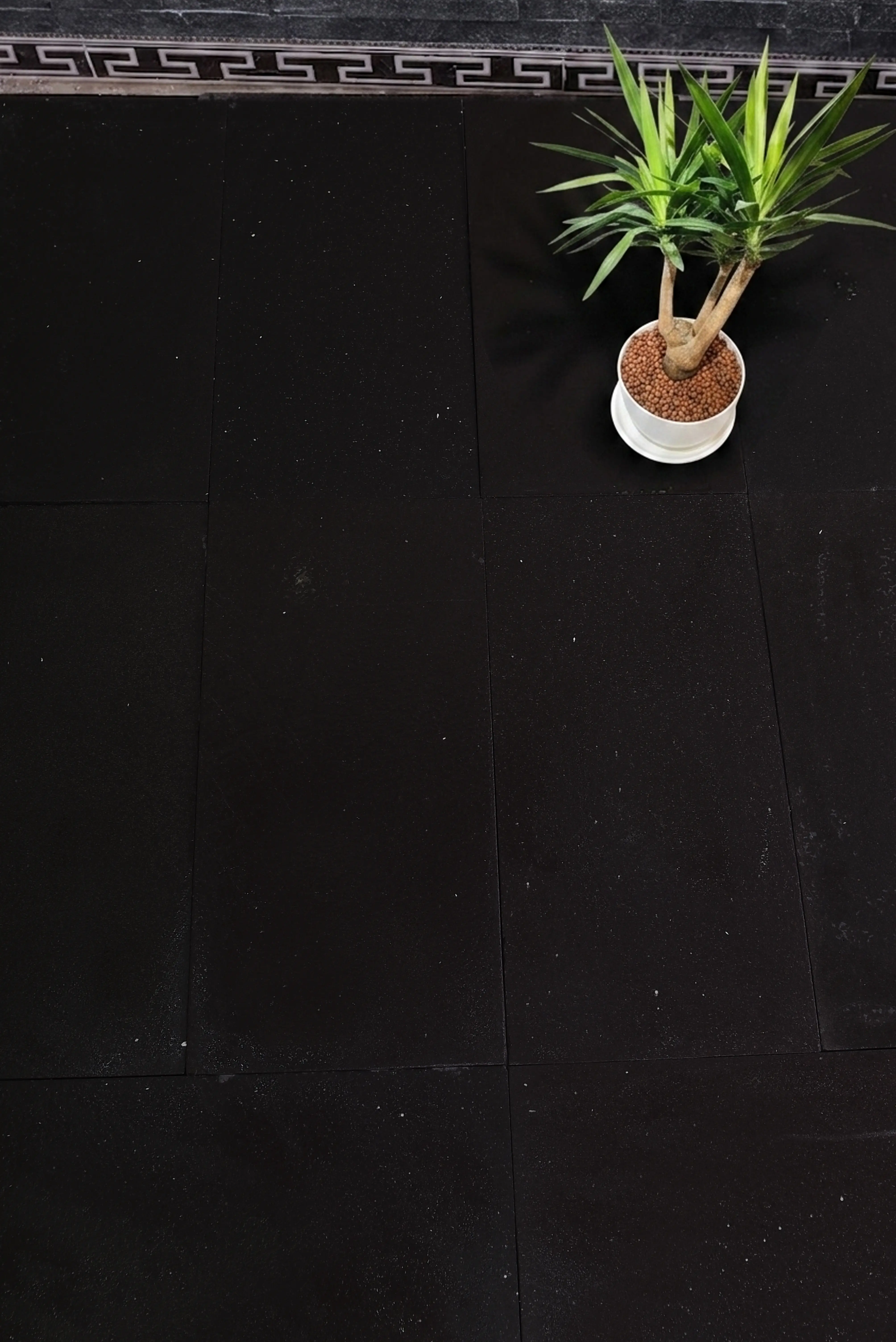 Potted green plant on dark floor A potted green Yucca plant sits on dark speckled limestone pavers, relevant to grey limestone floor problems.