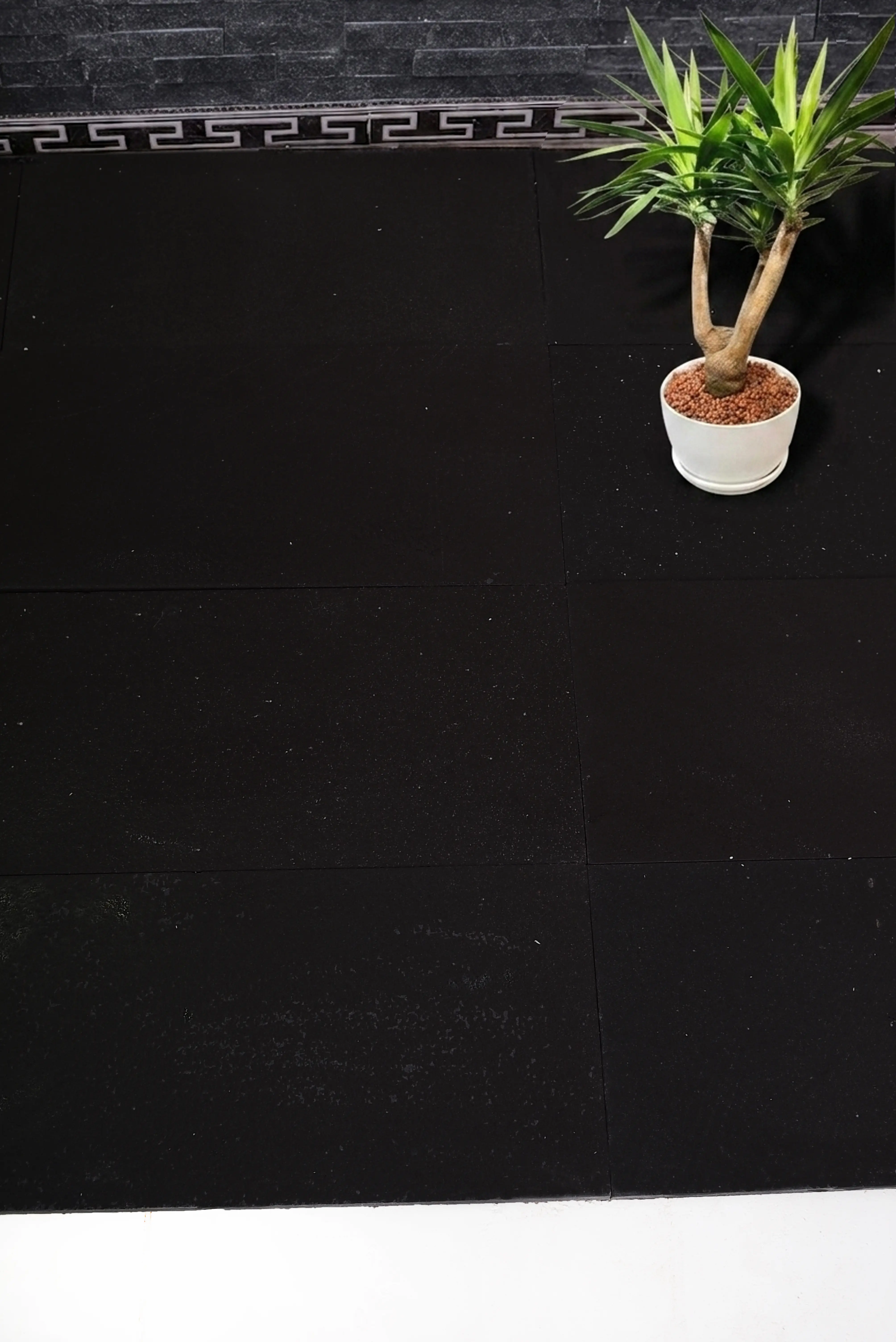 Decorative potted plant on dark black floor tiles with textured wall background, shown for how to install crushed granite.