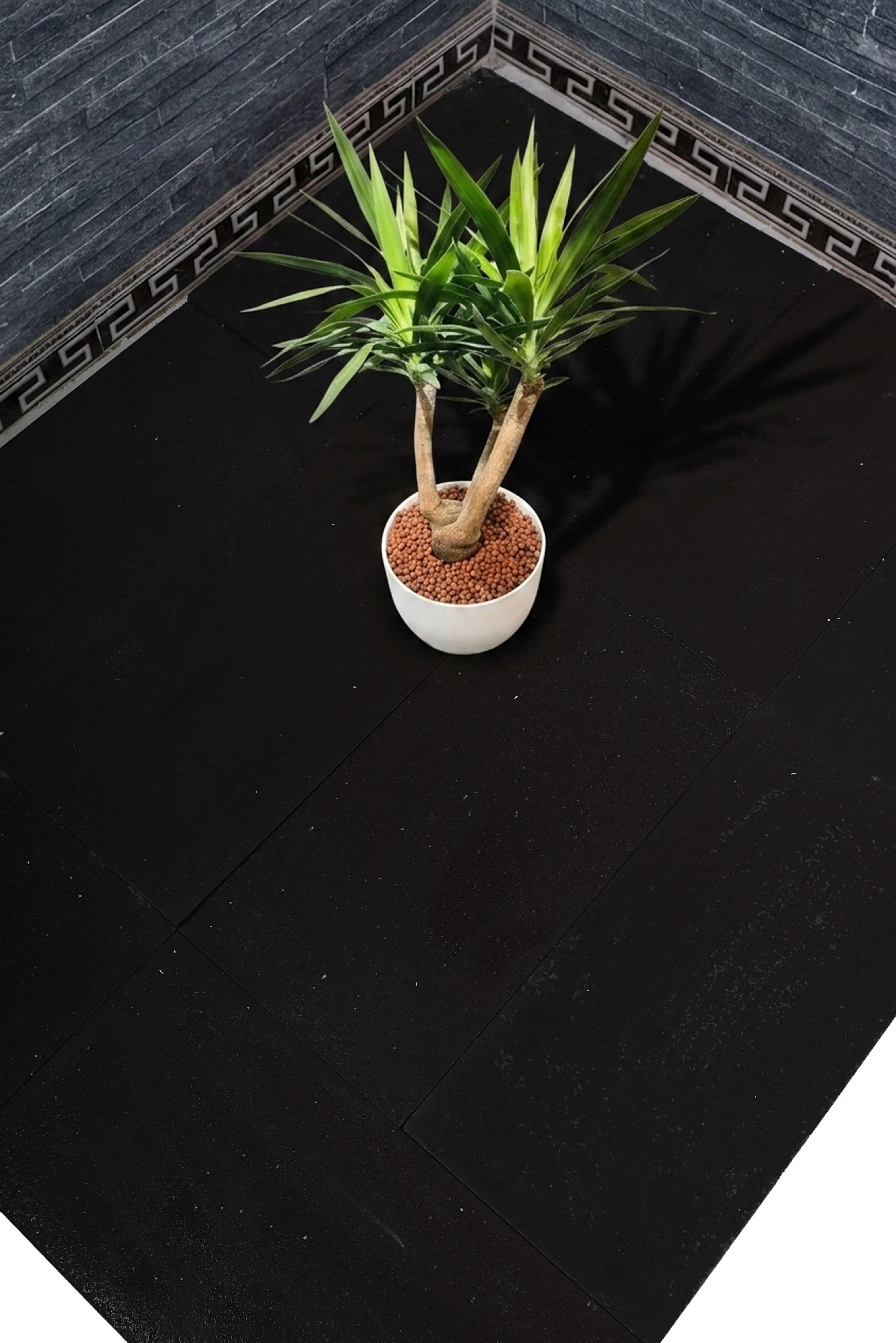Close-up of a potted yucca plant on dark limestone flooring with textured wall accents, relevant to jerusalem grey gold limestone.