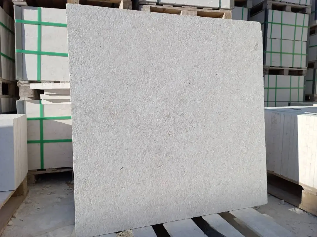 Close-up of a light beige limestone slab with a textured surface, an example for lichen on pavers.