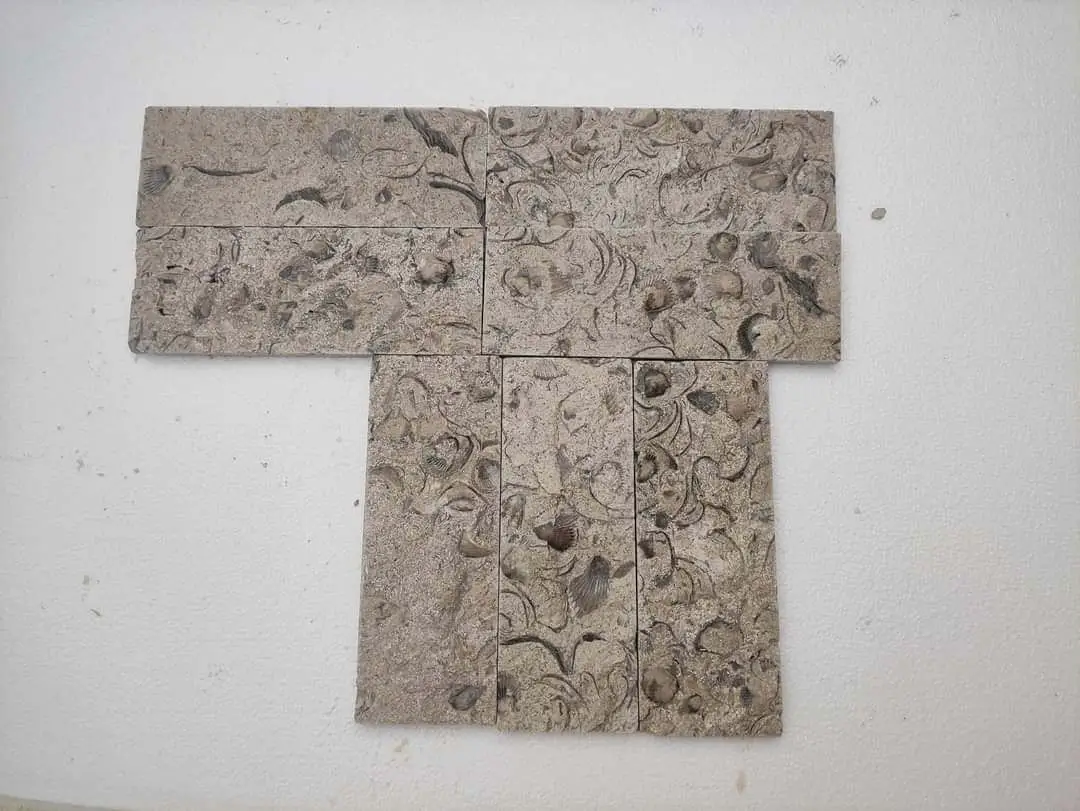 T-shaped arrangement of fossilized limestone tiles on a textured white wall, a reference for what is flagstone stone.