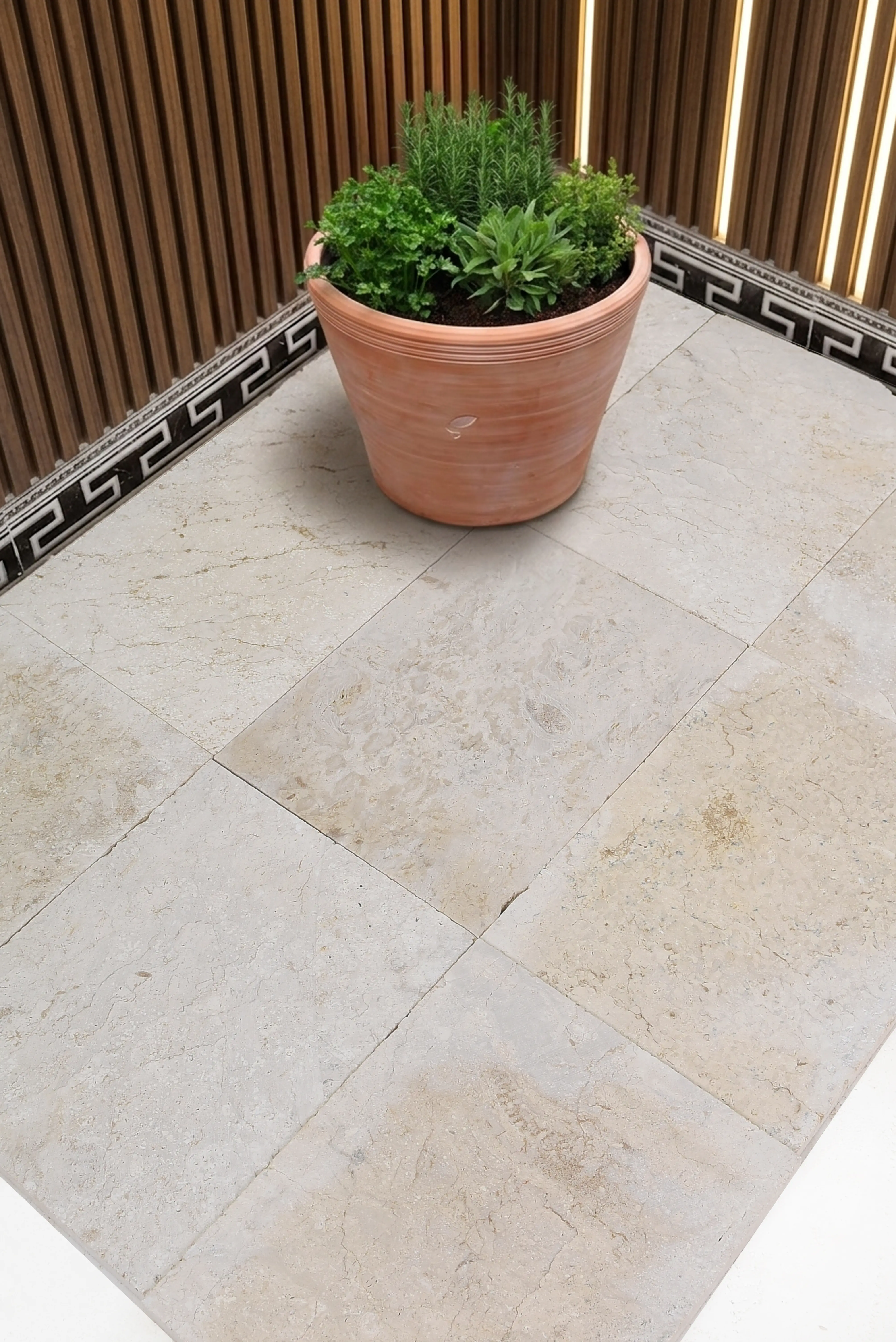 Terracotta pot with herbs on stone floor Terracotta planter with fresh herbs sits on a textured limestone floor, relevant to landscape border wall stone problems.