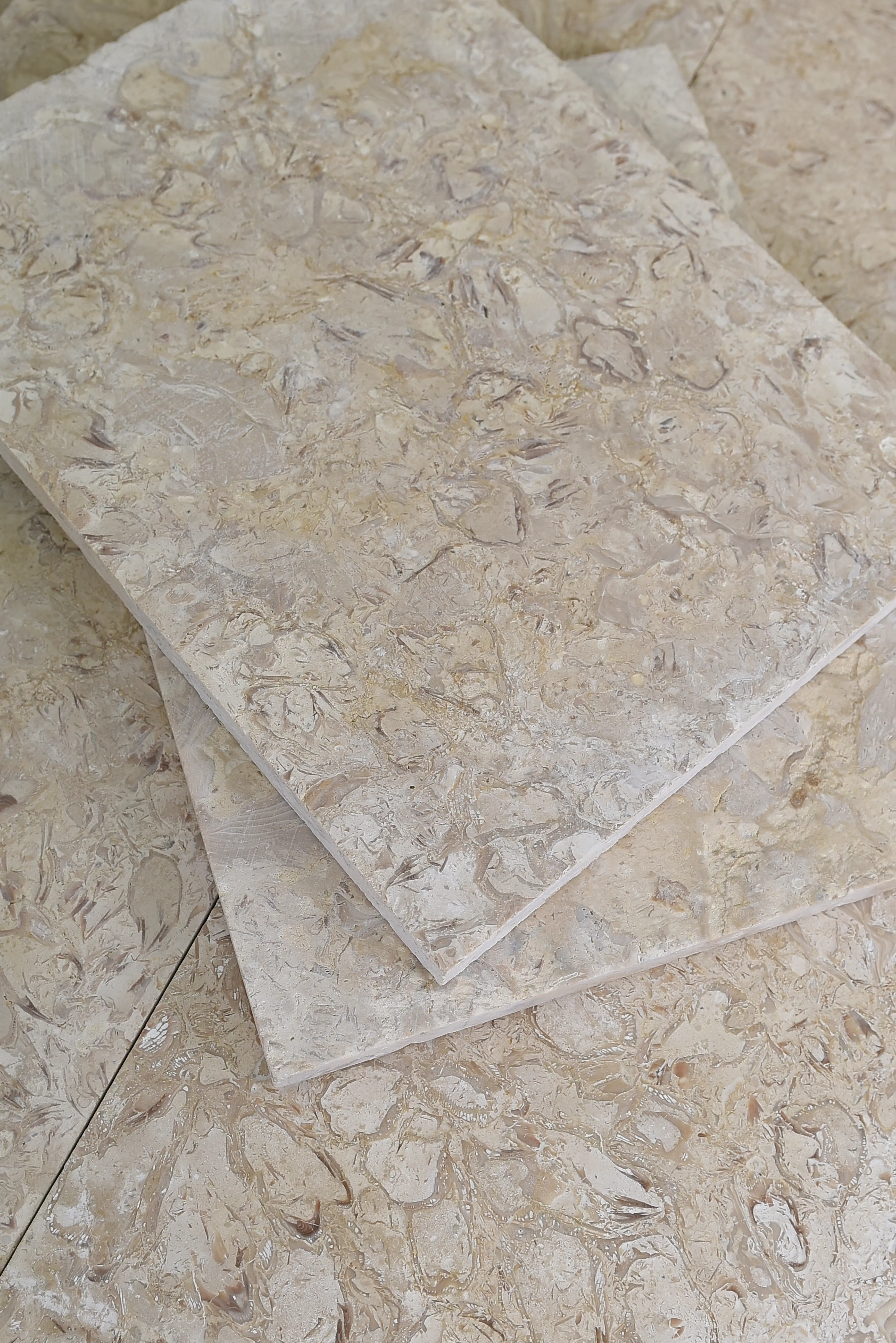 Textured Beige Stone Slabs Close-up of beige shellstone slabs showcasing unique fossilized shell patterns and textures, a reference for suppliers of granite worktops.