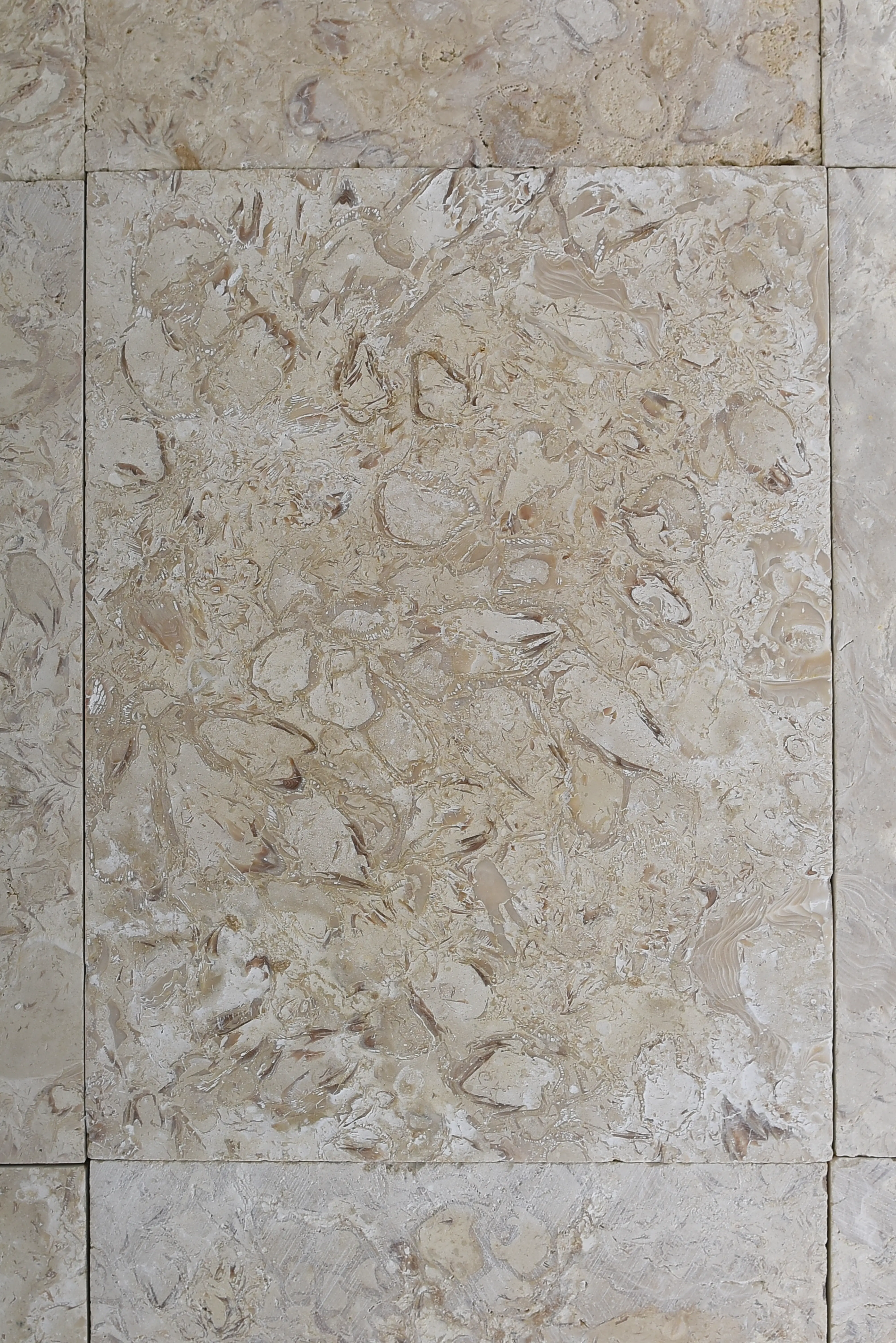 Close-up of textured beige marble stone tiles with fossilized inclusions, showcasing natural beauty, a reference for how to remove granite stains.