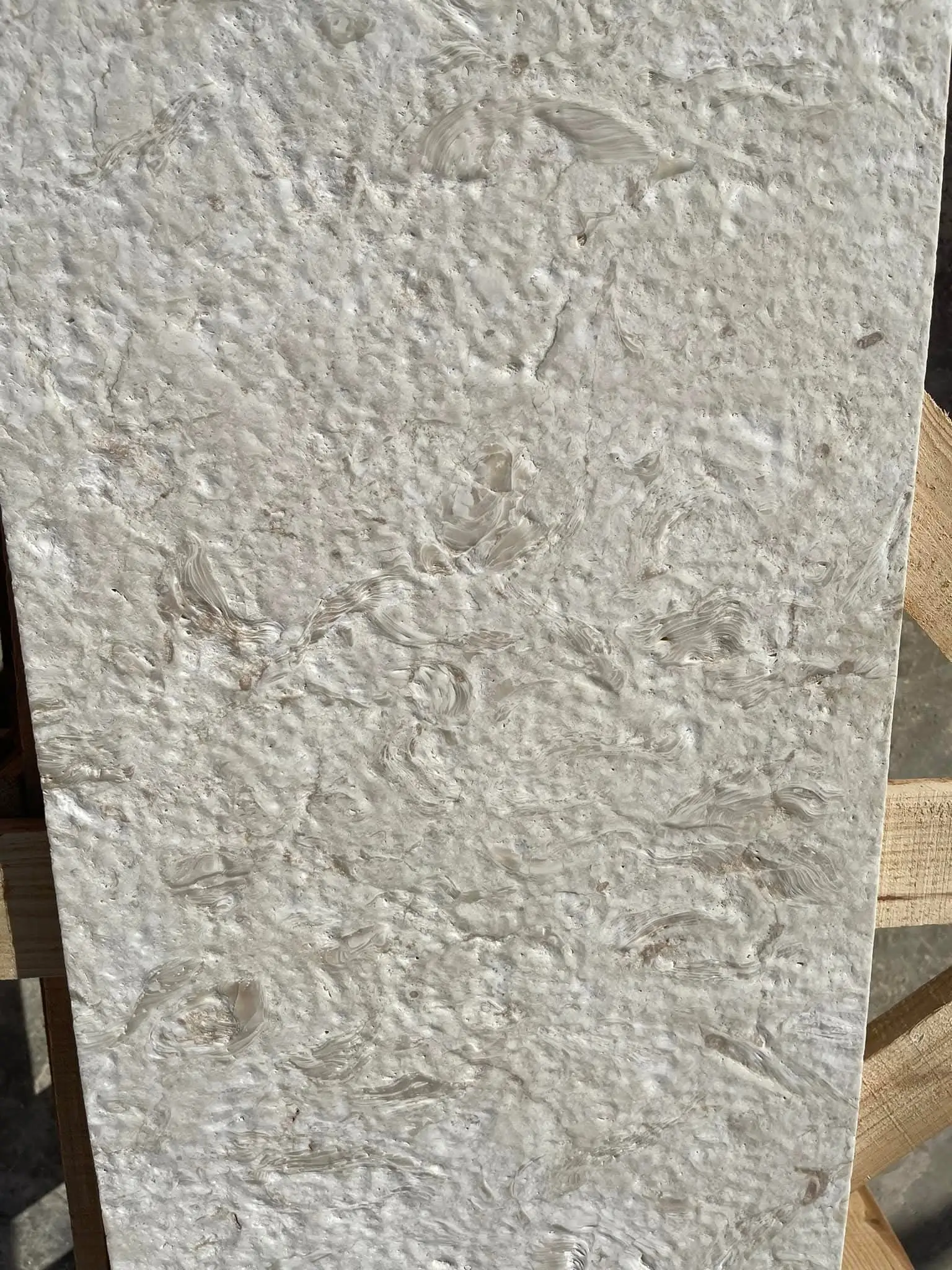 Textured light-colored stone slab Close-up texture of natural shellstone surface showing organic patterns, relevant to red granite.