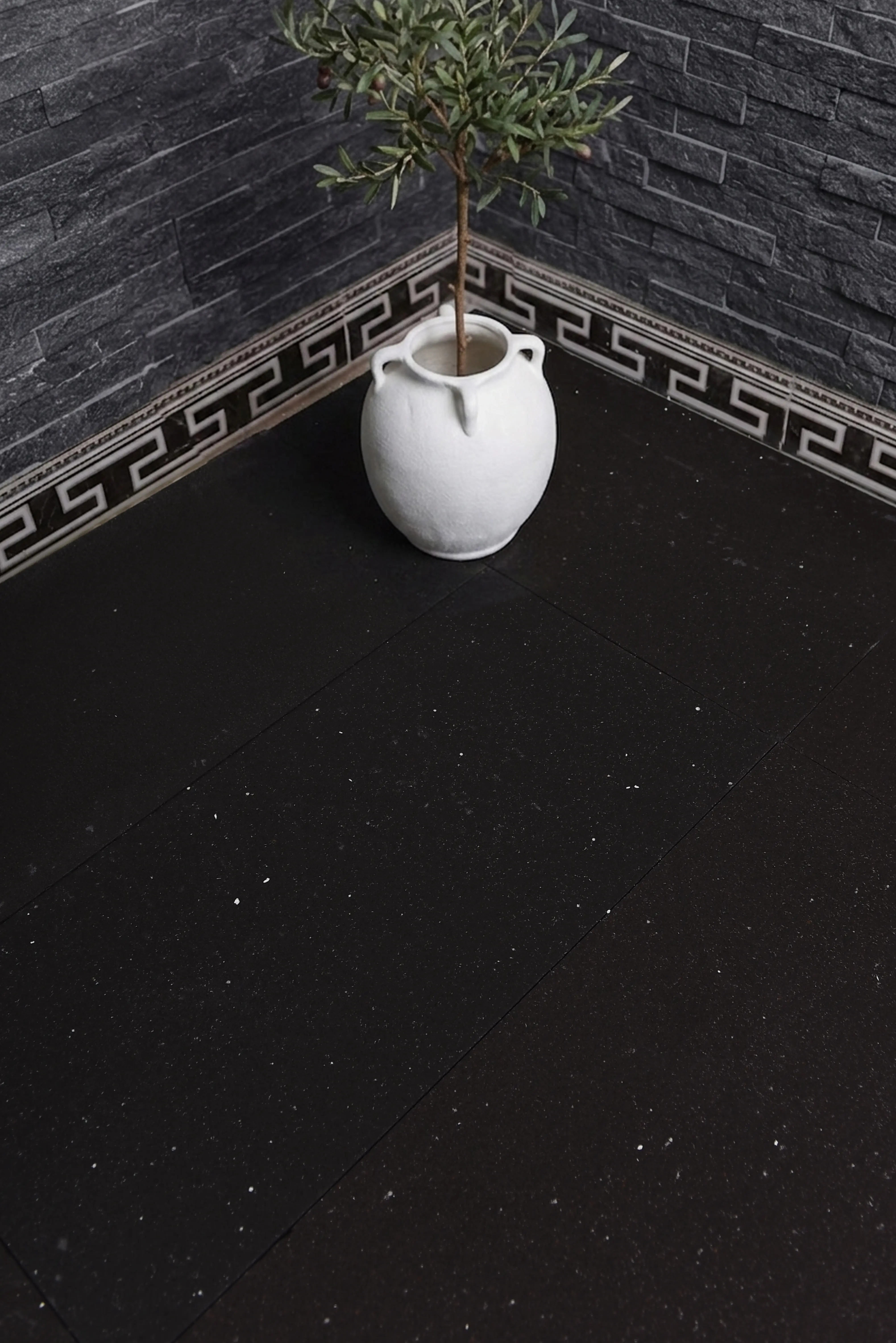 A white natural stone pot holds a small green olive tree on a dark speckled floor, relevant to tundra grey limestone.