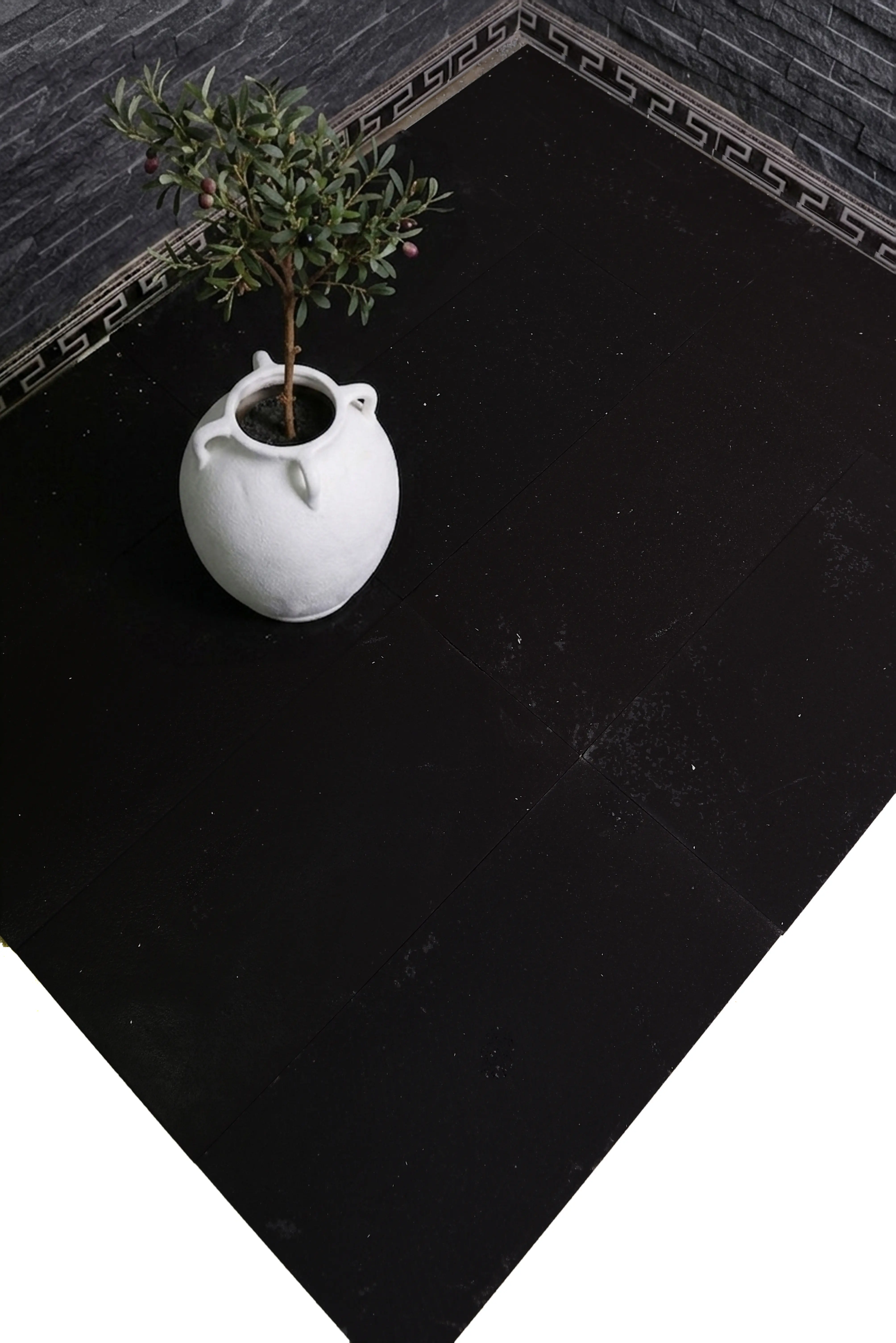 A white ceramic pot holds a green olive tree plant on a dark basalt paver surface, shown for black block paving driveway installation.