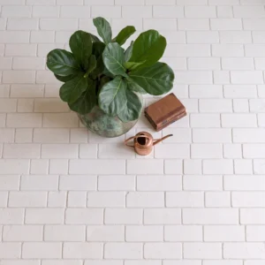White cobblestone pavers in a brick pattern styled with a potted plant, books, and watering can