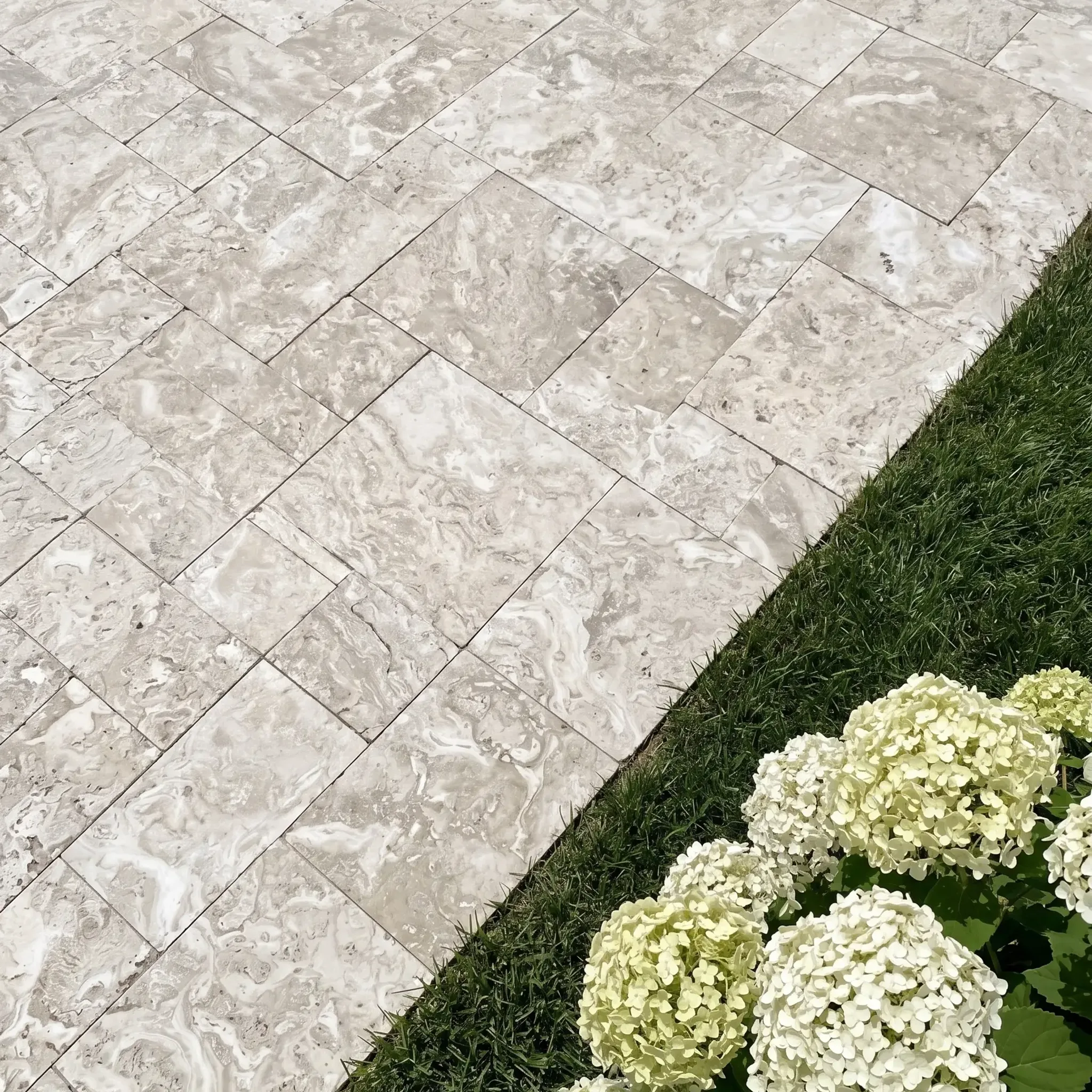 Diagonal view of cream-grey swirled shellstone pavers in a mixed pattern beside a lawn edge and white hydrangeas.