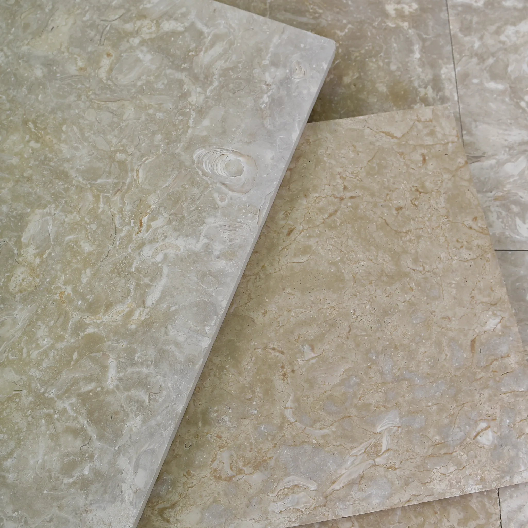 Two loose beige fossil shellstone tiles laid at an angle on a matching tiled floor before a dark wood slat wall.