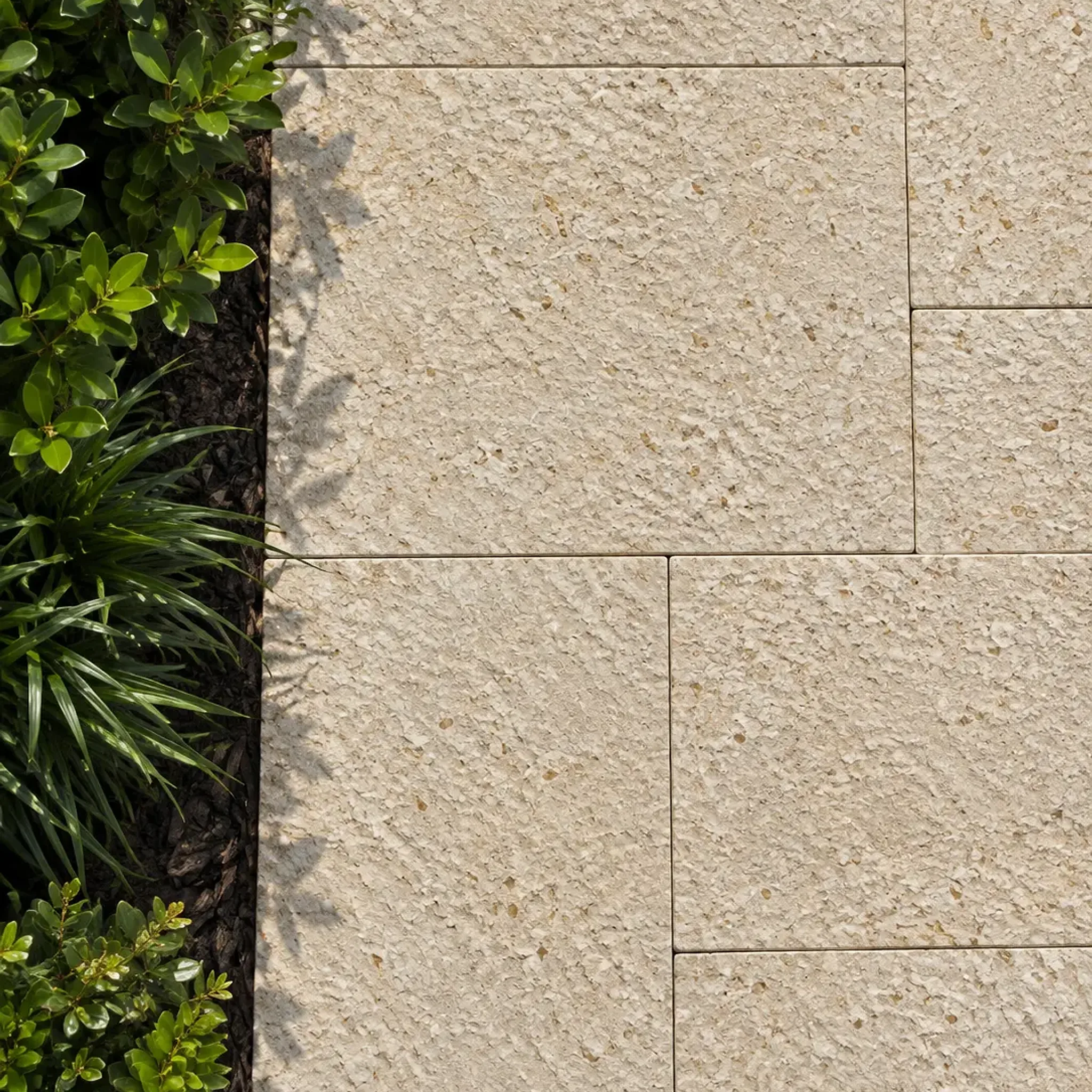 Cream bush-hammered limestone pavers in staggered bond beside a dark mulch bed with boxwood and liriope; top-down detail…