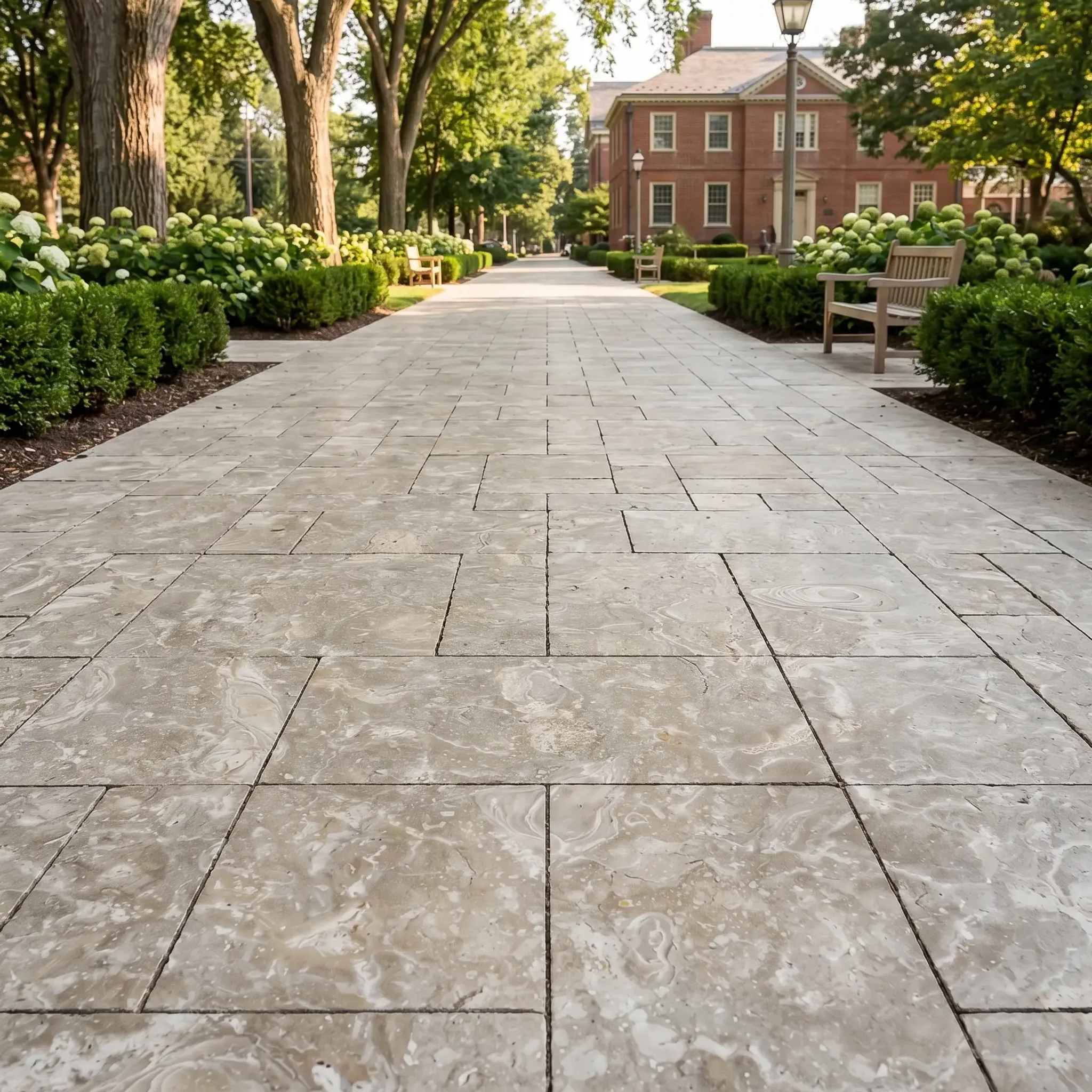 Wide cream-grey fossil stone walkway in random ashlar through hedges and hydrangeas toward a brick campus building.