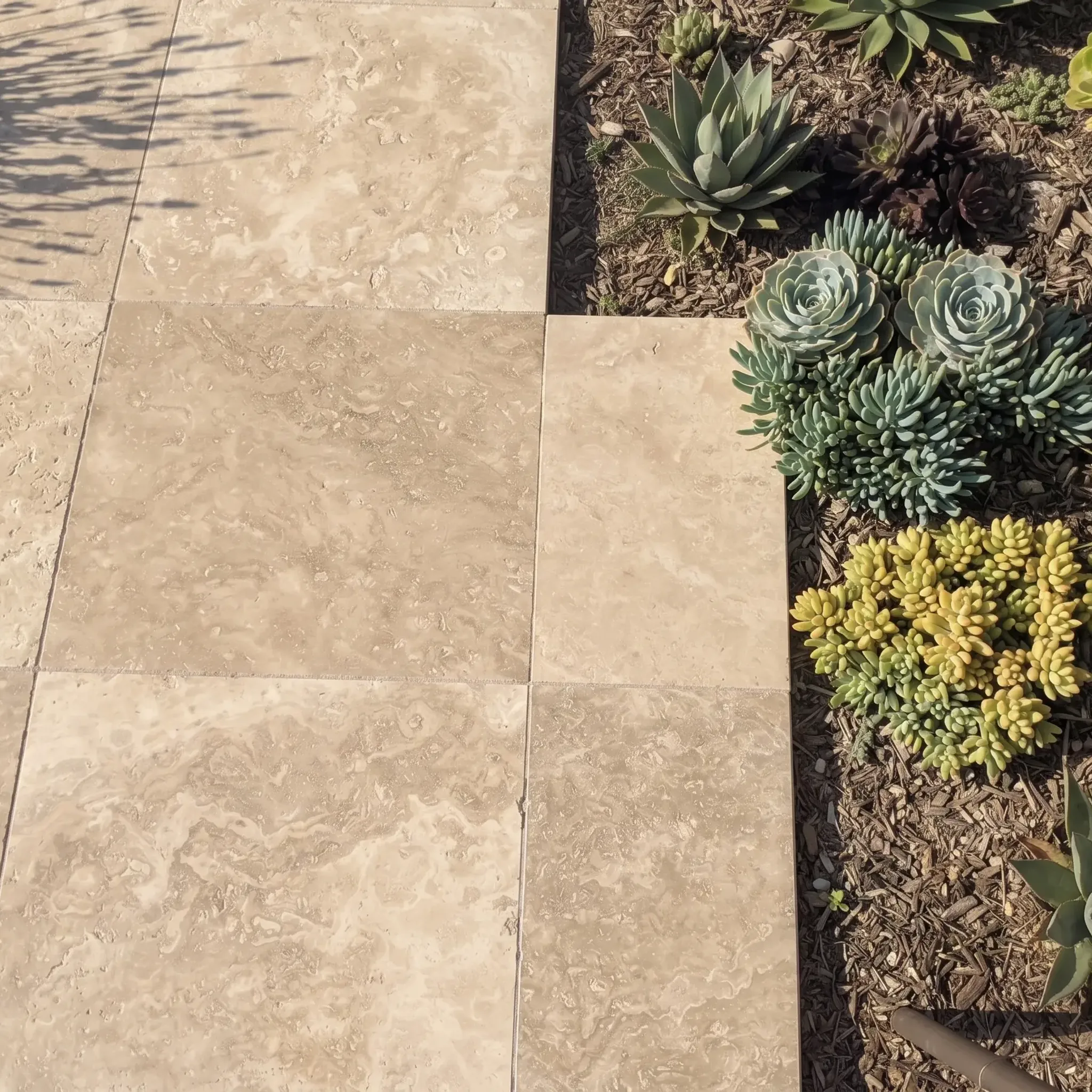 Top-down view of beige honed travertine pavers with stepped edge beside a mulched succulent bed of agave, echeveria and…