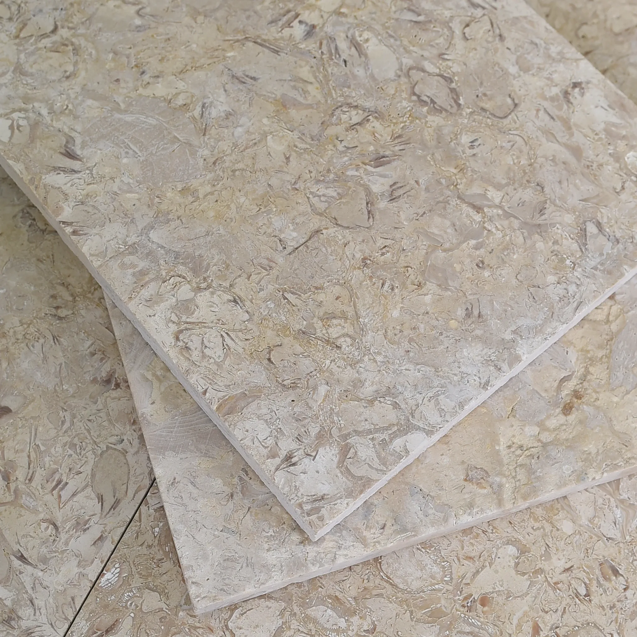 Three brushed fossil beige limestone tiles stacked at angles on matching tiles under raking light, shell relief sharply…