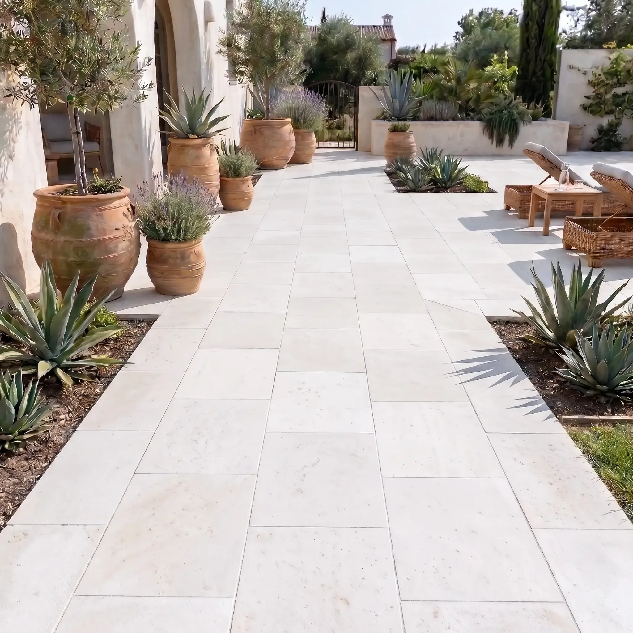 Off-white limestone pavers forming a courtyard pathway past terracotta pots, olive trees, agaves and lavender at a…